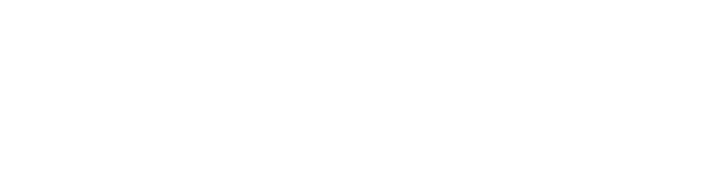 roit_auditto_experience
