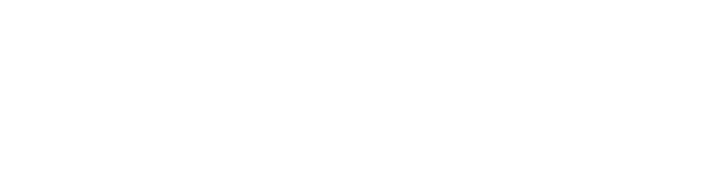 solutta_auditto_experience